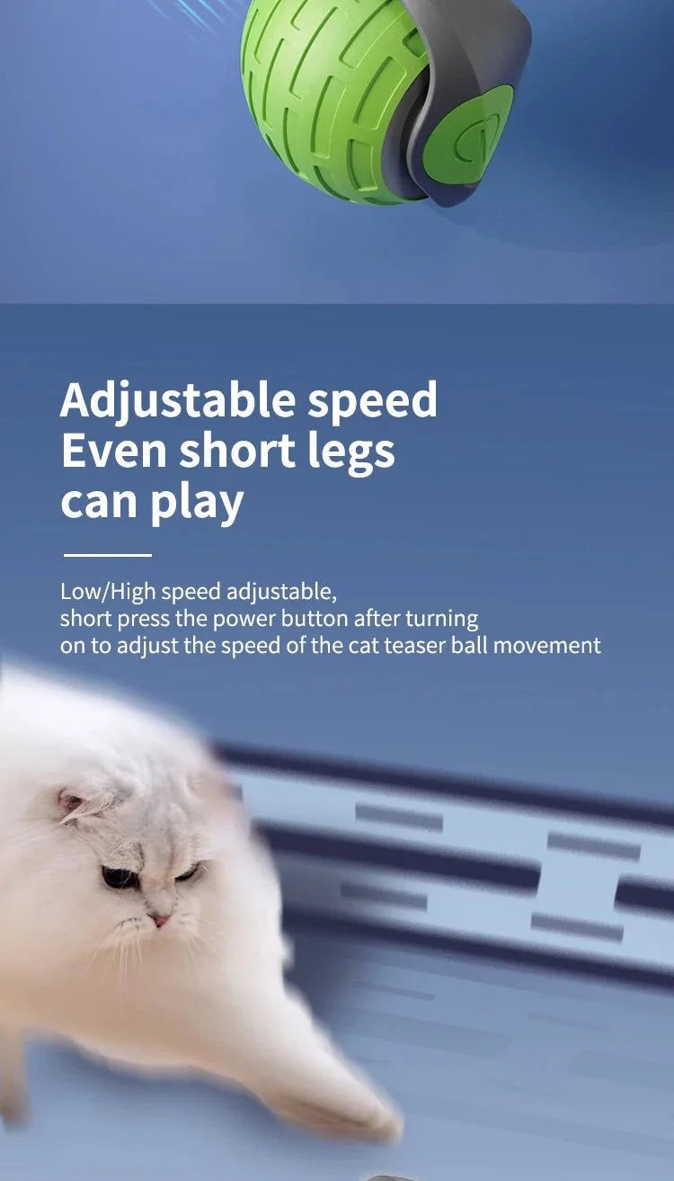USB Rechargeable Interactive Electric Cat Toy Ball | Self-Rolling Teaser for Indoor Cats