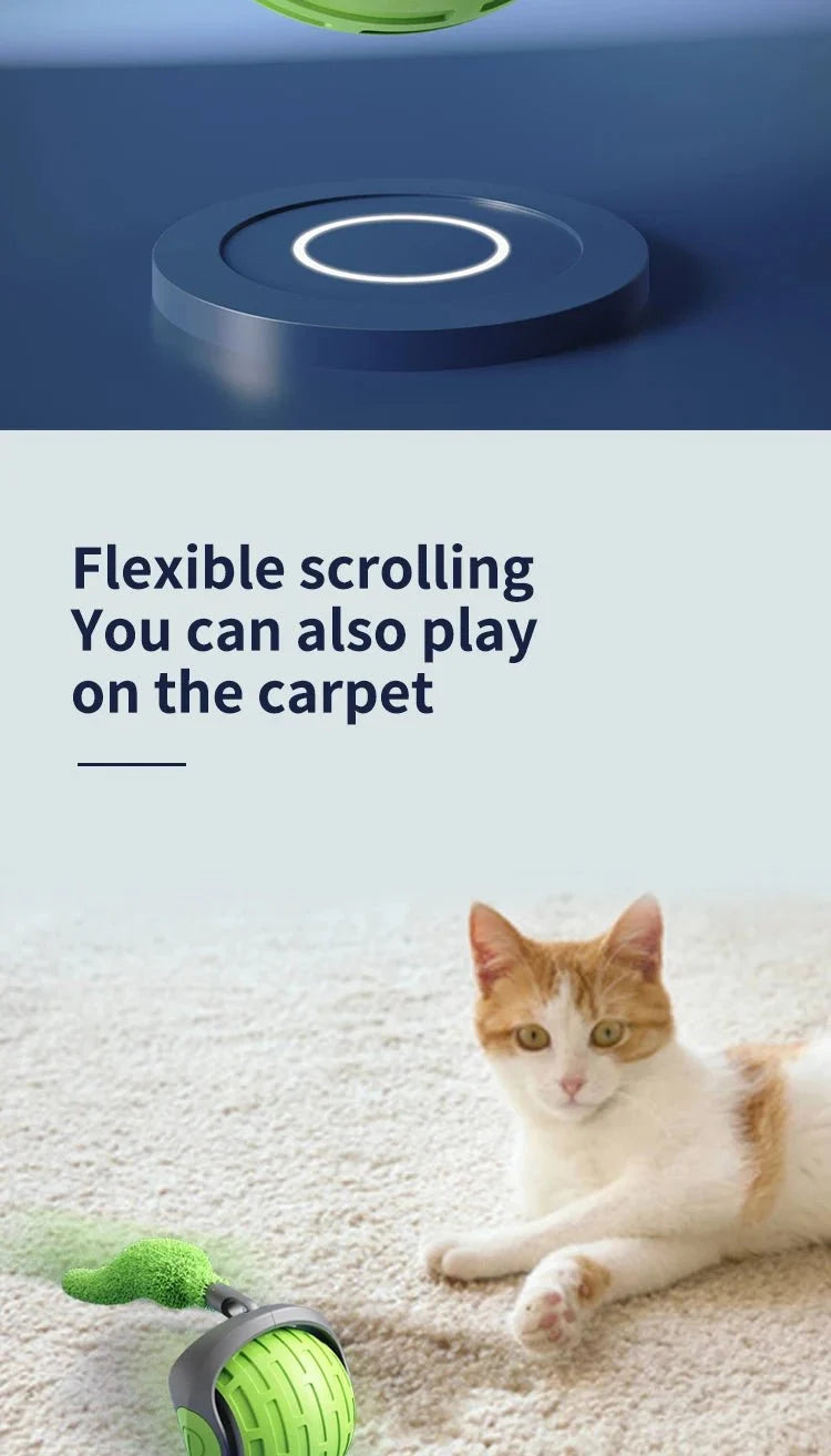 USB Rechargeable Interactive Electric Cat Toy Ball | Self-Rolling Teaser for Indoor Cats